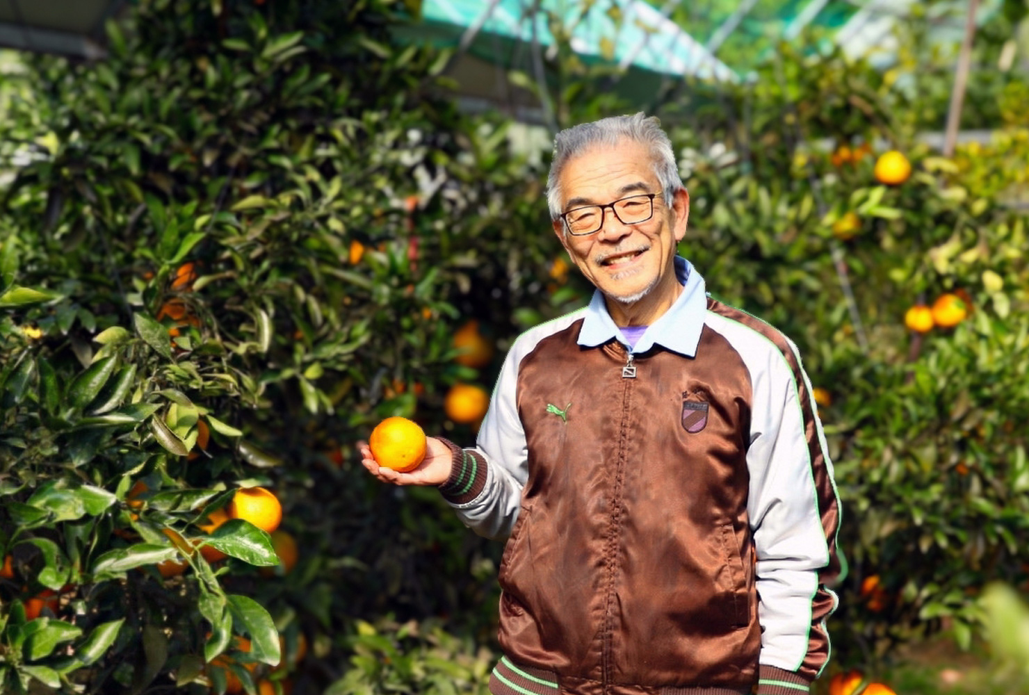 佐賀県 恵味香園